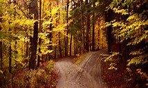 roadnot taken